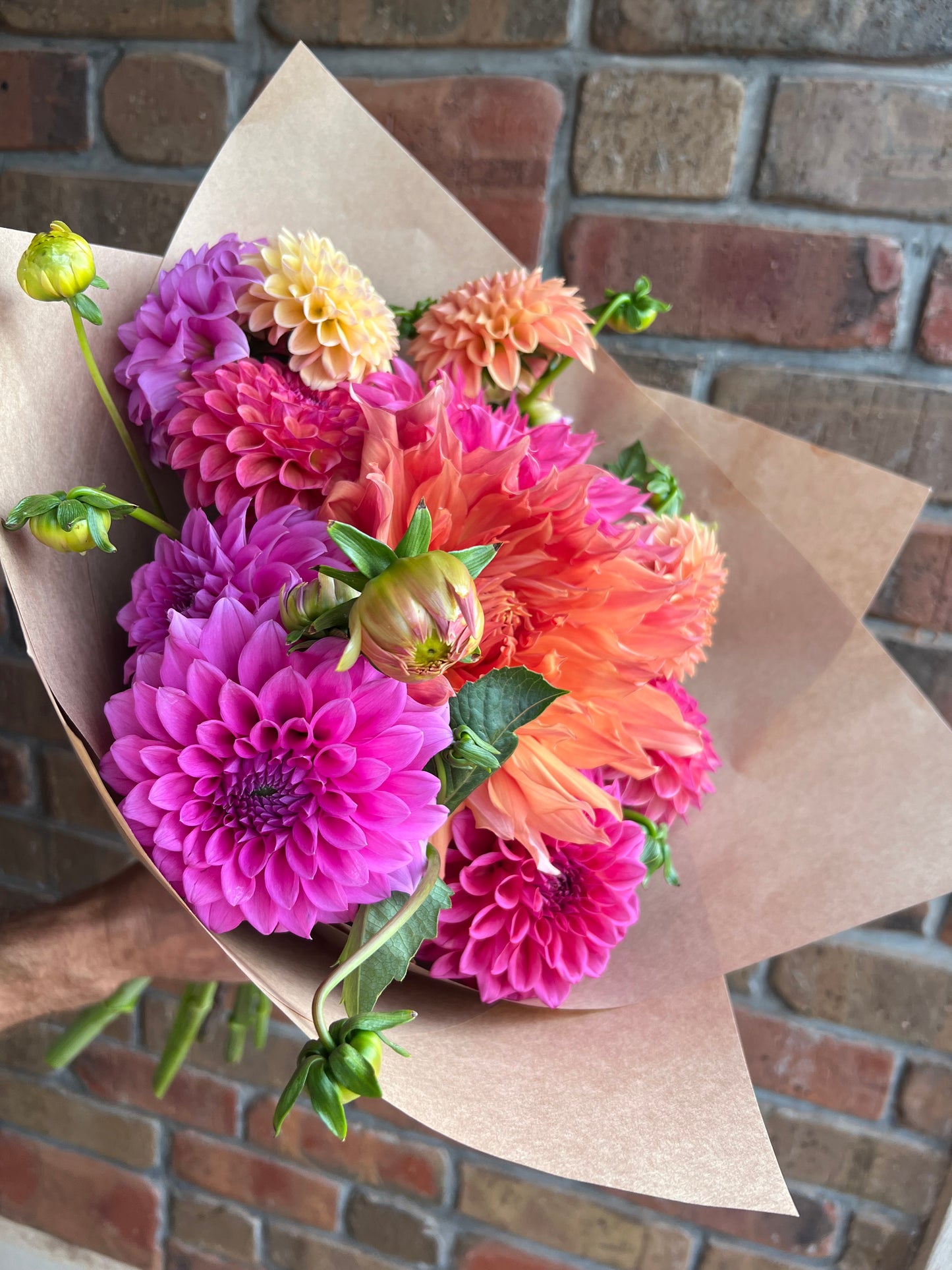 Dahlia Bouquet LARGE