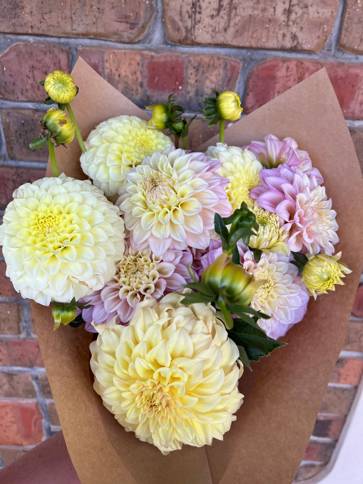 Dahlia Bouquet SMALL