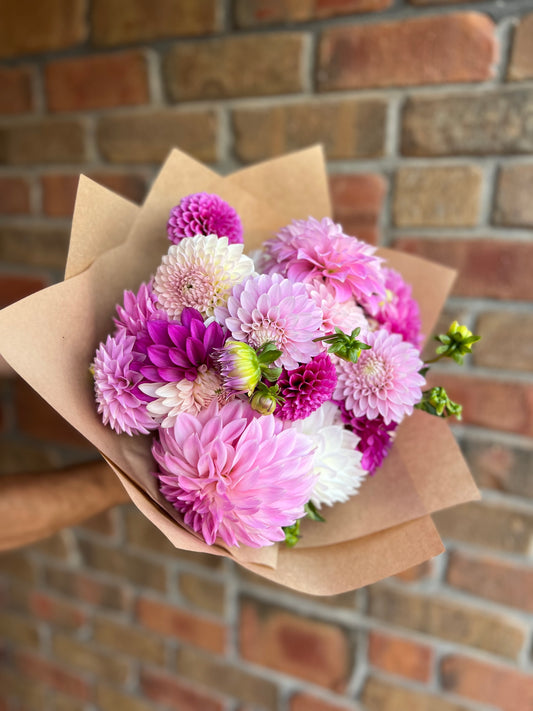 Dahlia Bouquet LARGE